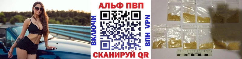 Альфа ПВП СК Санкт-Петербург